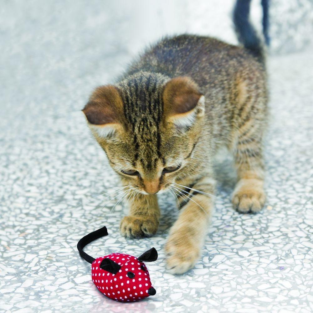 KONG Cat Active Wild Tails Assorted Cat Toy