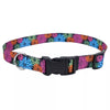 Coastal Pet Products Styles Adjustable Dog Collar