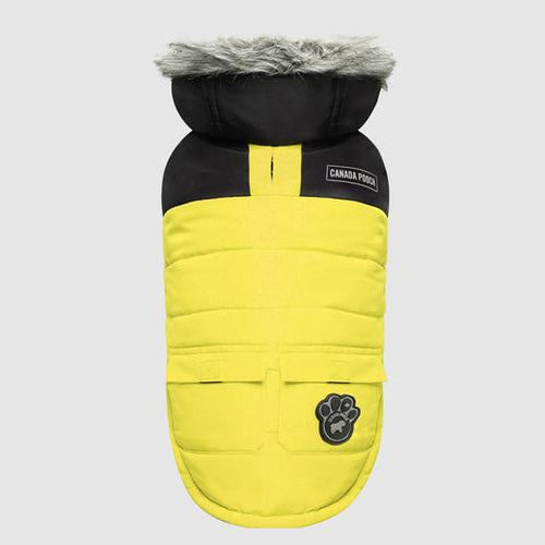 Canada Pooch True North Parka Yellow