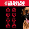 Boss Dog® Tactical Collar