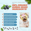 Coco Therapy Coco-Charms Training Treats Blueberry Cobbler - Organic Training Treat for dogs